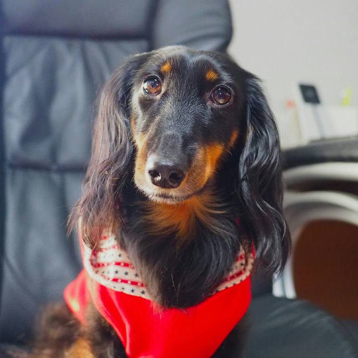 47f7aed4 873f 4d2e 80d4 1e2c23e75c53 1511144561483