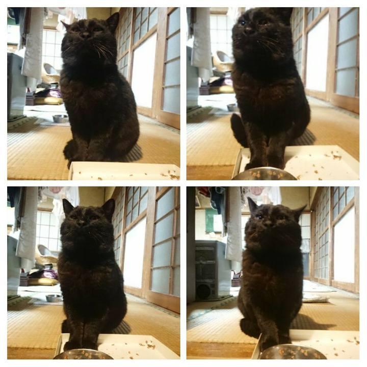 47f7af46 516f 45d6 9160 4b7ae2e1f359 1618139087355