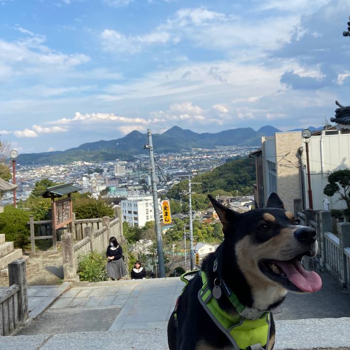 47f7b12b 102a 47dc afaf 00890d4ea5d7 1635328286409