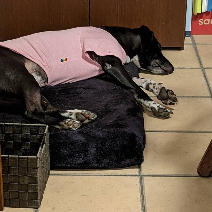 47f7c7ac fce5 47e4 b88f 9a7959028165 1638406994589