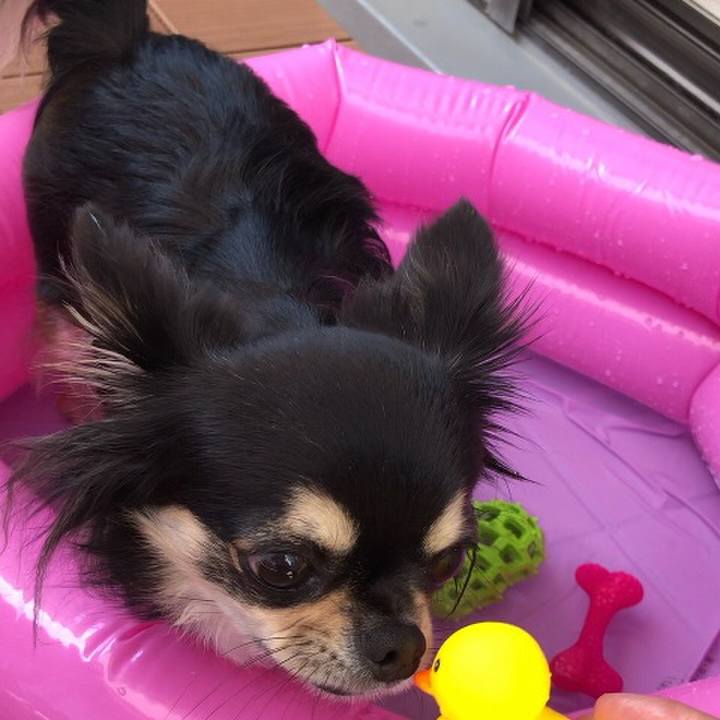 47f8201b bda2 4859 939a 0c61c1dca36e 1597196593054