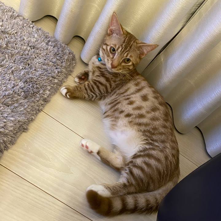 47f85473 28cf 41ea 8d8d 7c1f7c9ae527 1599916870181