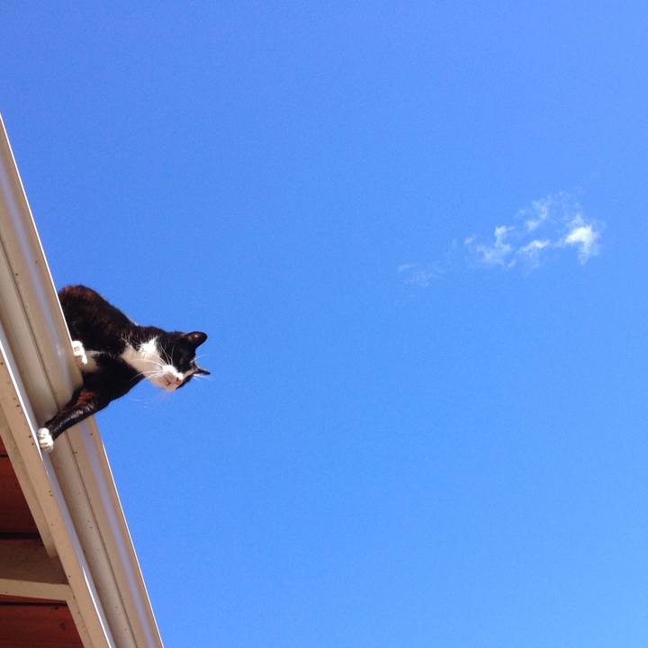 47f88fdd 4379 4863 9715 225672001975 1509437709568