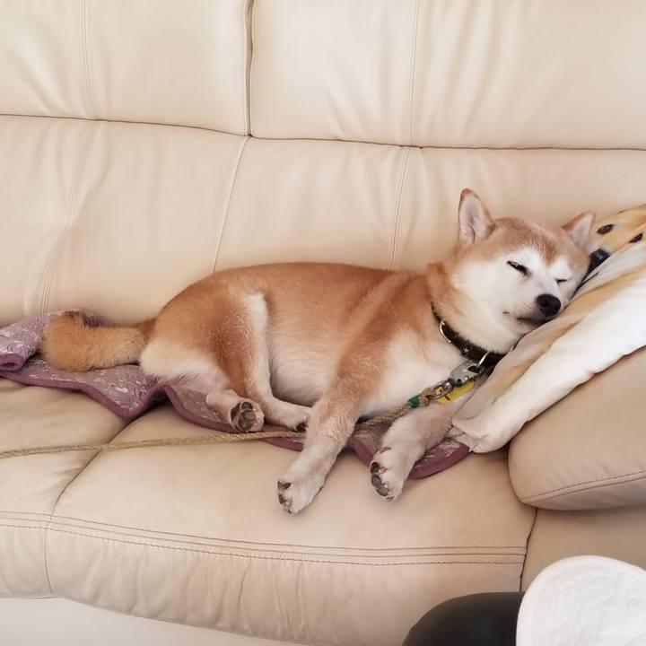 47f8d895 51d2 4ef1 810e b47ee3e597be 1628304908136