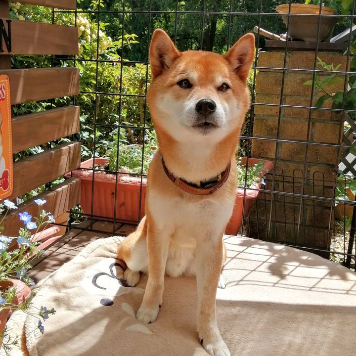 47f8e072 c587 468e b530 3af5ded49978 1619406790923