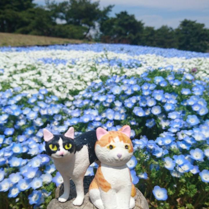 47f90911 2ec1 4ffb 9566 ee6adc802c56 1555671393707