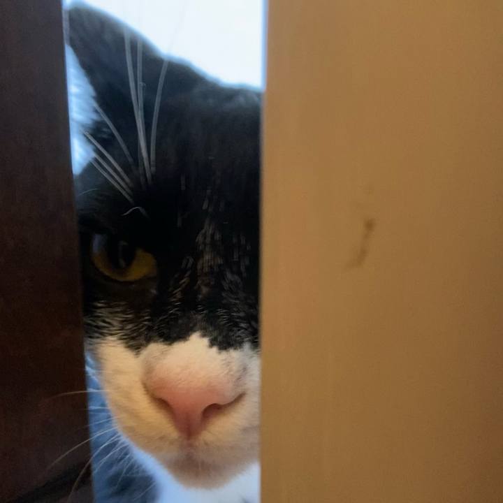 47f9566a 6572 4f20 9287 672631336fcc 1623478642124