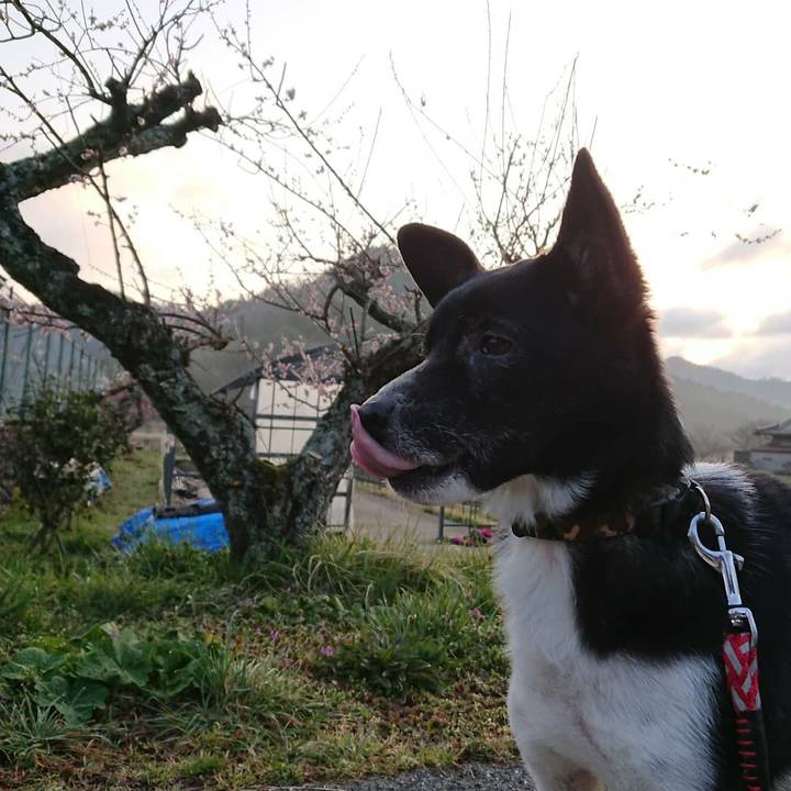 47f970af f5ce 433b ba9c 18808e27159f 1615382458834