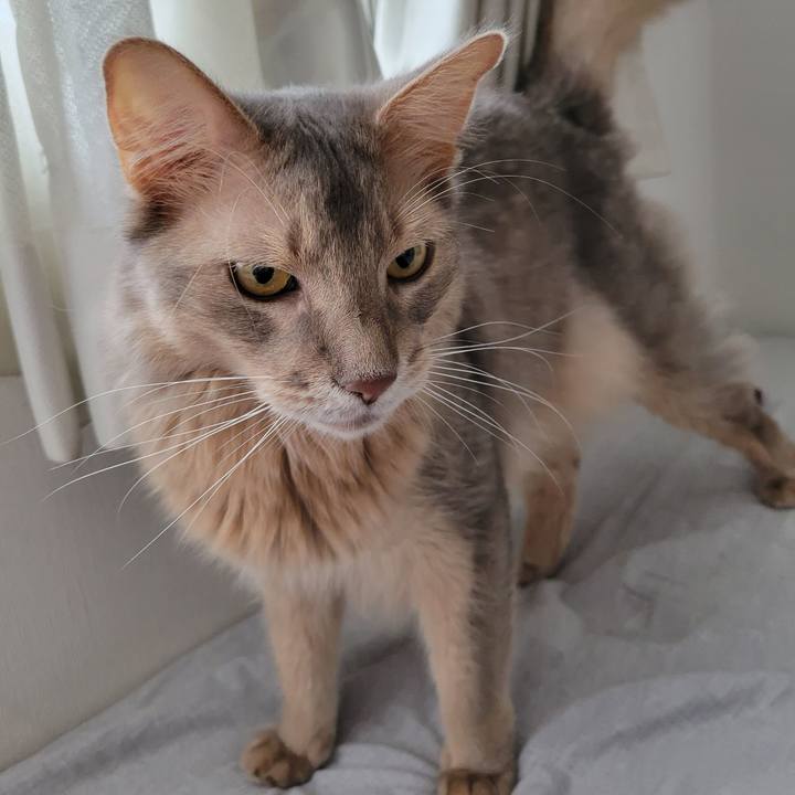 47f9a1f8 be7a 4250 8cca f222b5fc1241 1655726275245