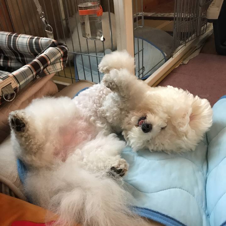 47f9d17e 47bc 4904 bdfd d0d5ba01270a 1526977997740