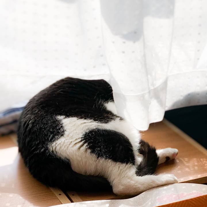 47f9d83d 147d 4e66 8143 9bbe274c3db2 1590371116737