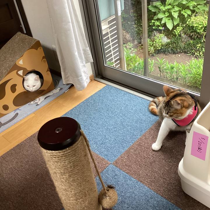 47f9ee5f f011 4642 aa9e 2ec80b568002 1652415002657