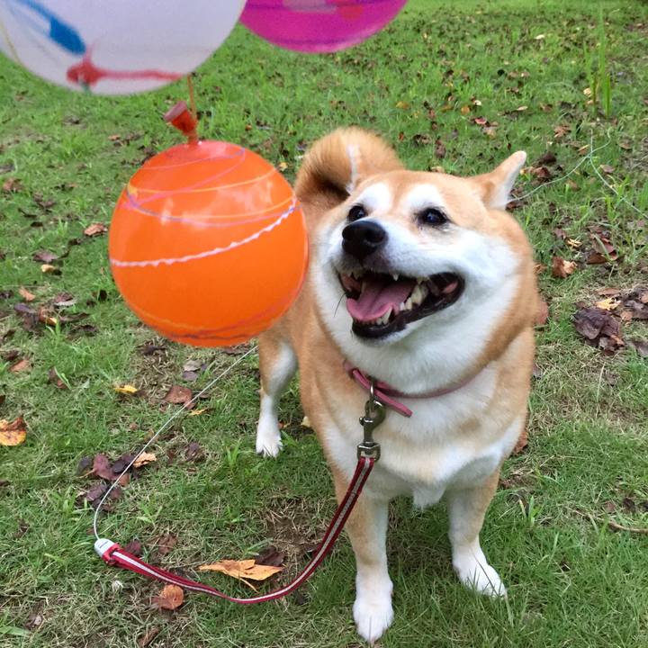 47fa049f c64d 4dce 826e e2d988ecd6af 1567546508724