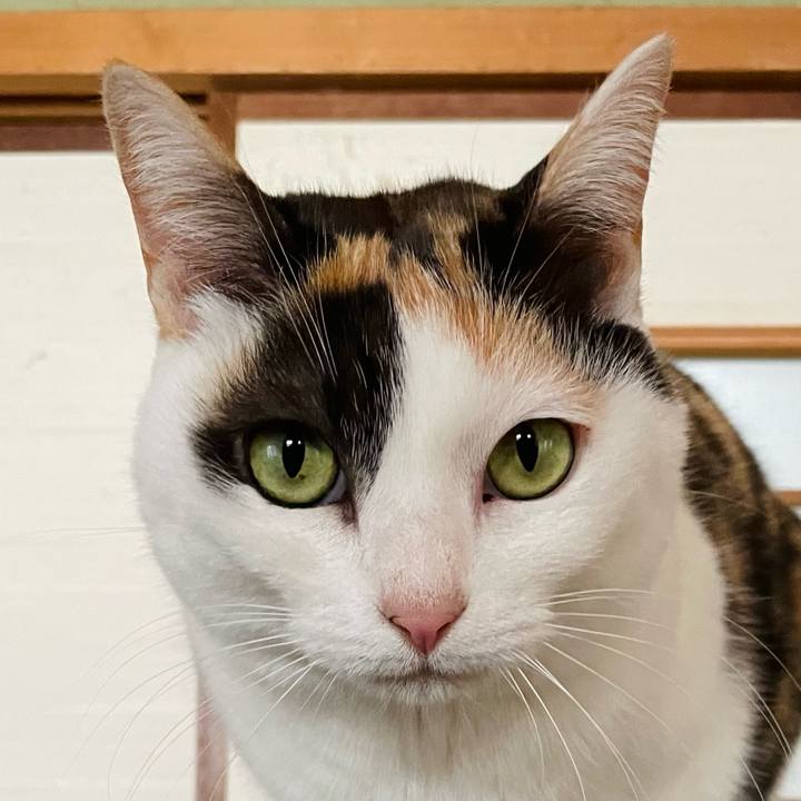 47fa06ef a86c 4518 9619 d10e6e390004 1648261804669