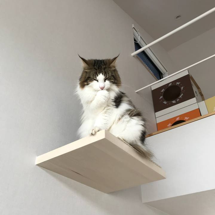 47fa43ab 0fd4 4220 a988 226532e9d286 1530924049567