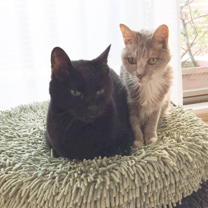 47fa6d9e 911f 47d8 a57d aa51397d7570 1517717099624