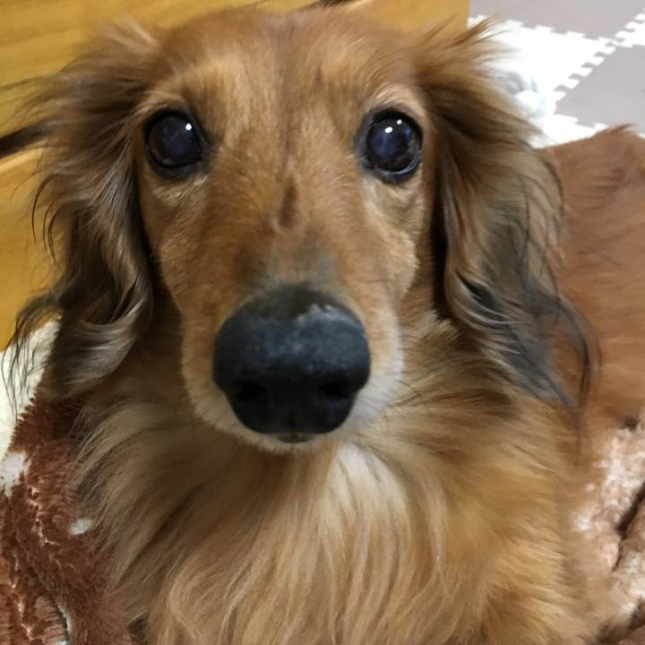 47fa6ead e93d 47ab ae35 dcaf1ac9b133 1549713127563