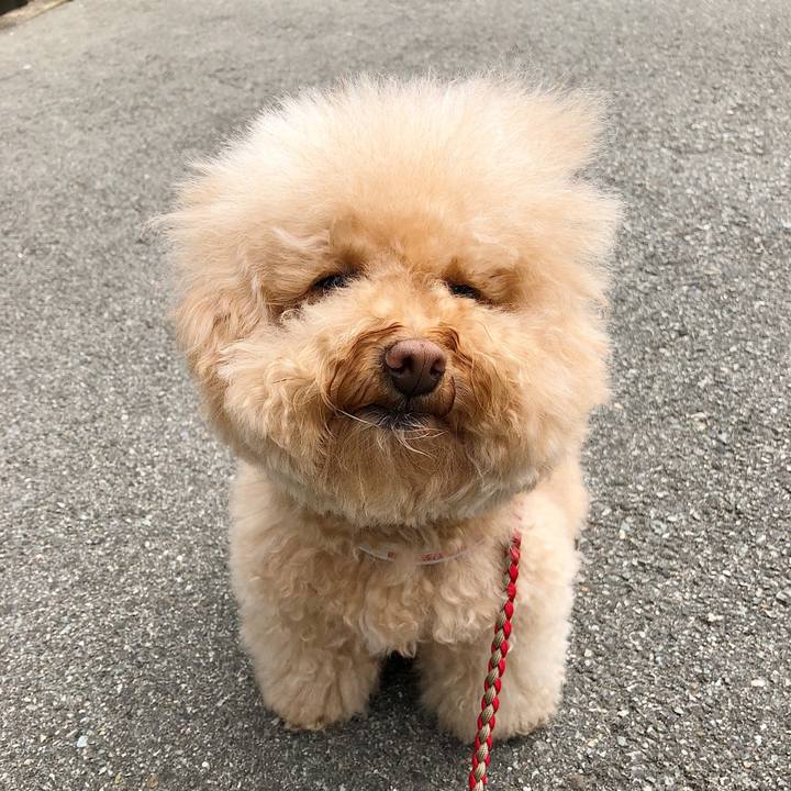 47fa8fc0 2000 4e46 a16f f92f9968cb81 1522898291341