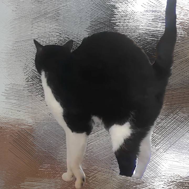 47fa9d86 e77c 4429 b8fd be0219eae1d4 1736136726602