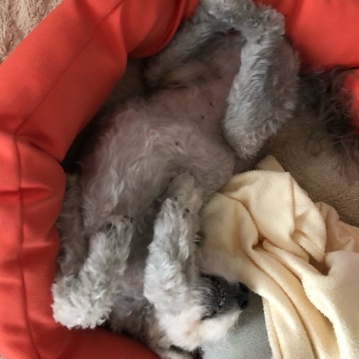 47fae4da c25d 46b5 9177 d8df0f220eb1 1559083597825