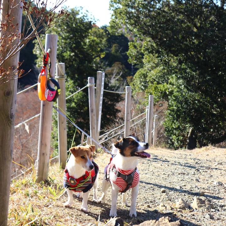 47faf47f d984 4e84 a362 fd4427912c1c 1546153610760