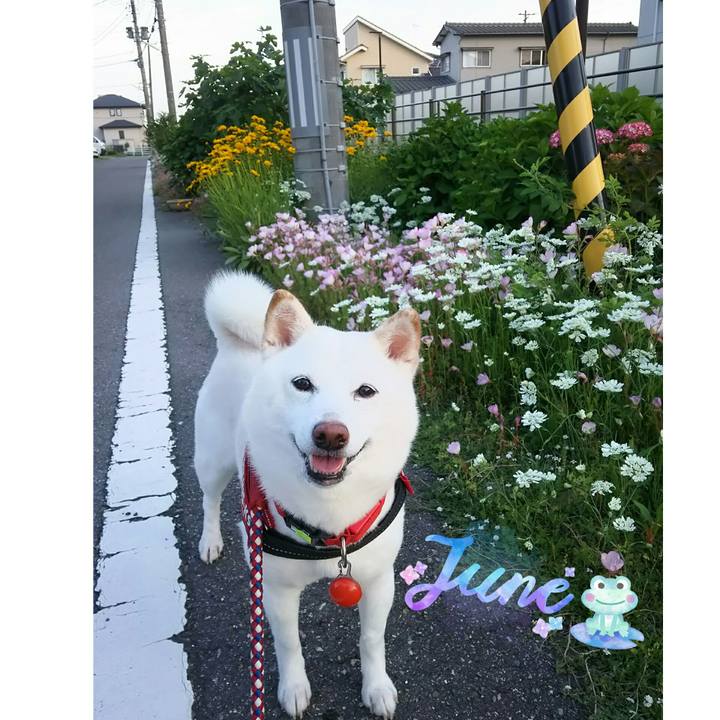 47fb32fb 5c30 4857 b766 045f078bcfbe 1591177862565