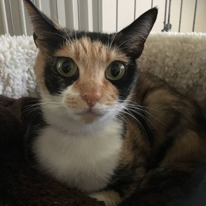 47fb5f6a 0ad2 4529 9ca7 c8ba7092fd57 1508203726074