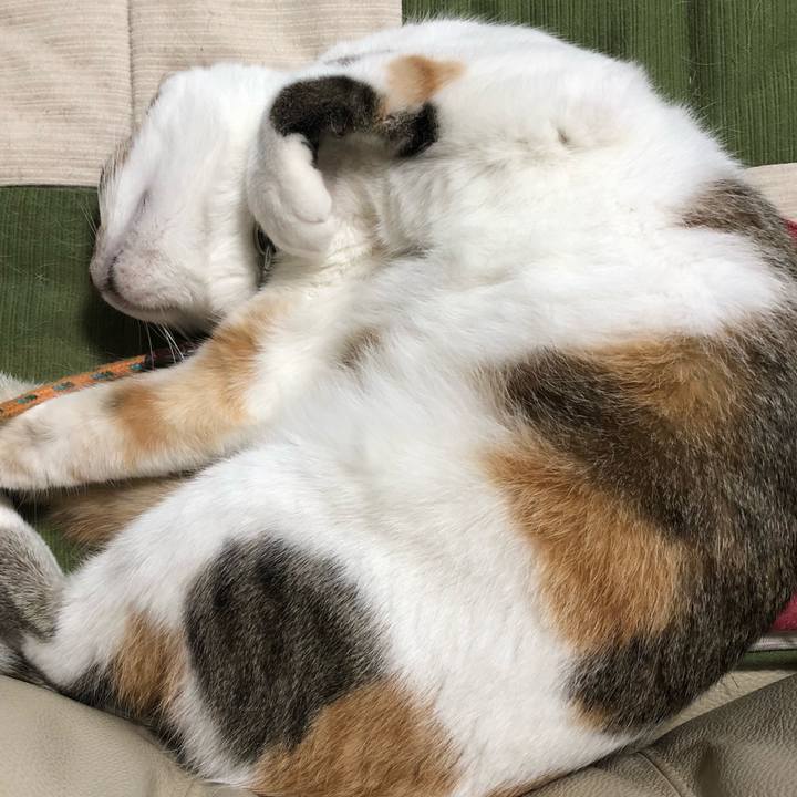 47fb7a98 6059 4df4 bf72 b91f8acfc179 1537134747154