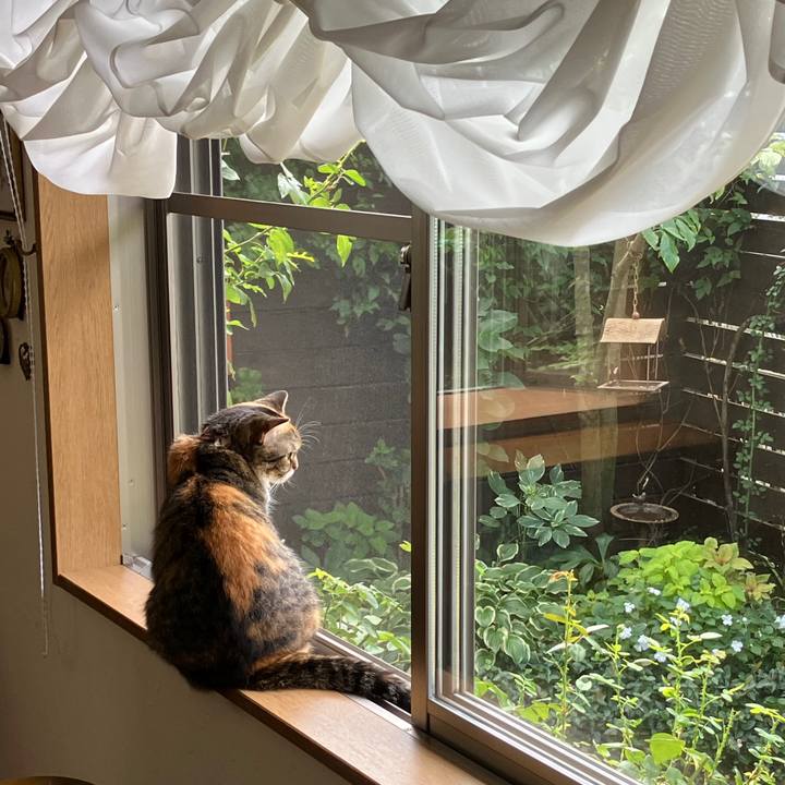 47fb9928 4b85 43f0 a1c9 b921437bcb37 1758586283457