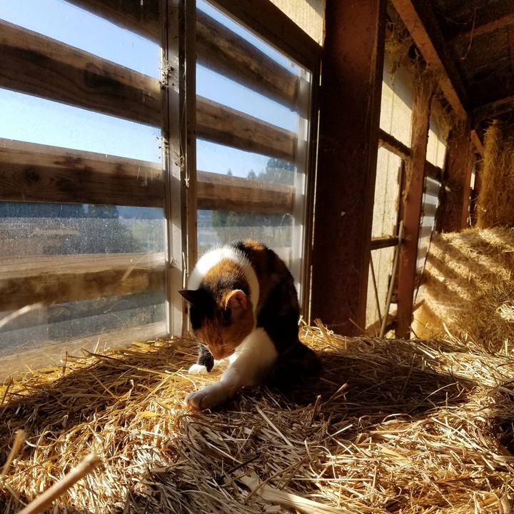 47fb99dc 4876 4d68 94b5 5515ec2bfaac 1573260252955