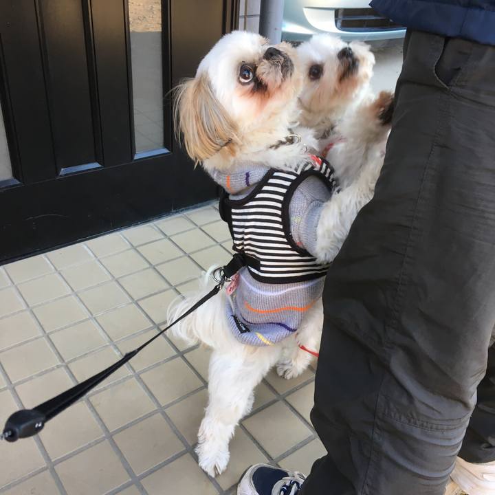 47fb9a39 d4df 47ec 80f6 9e14d9a6f2a4 1513996263587