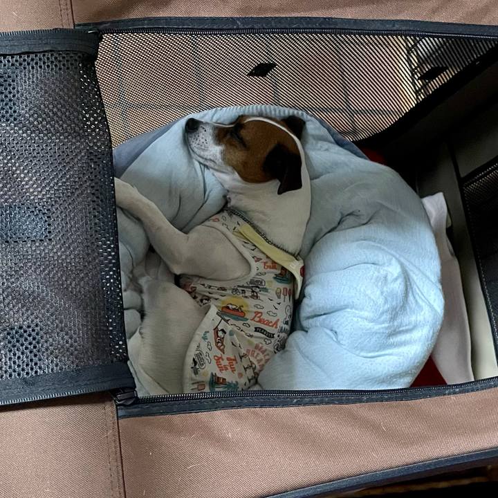 47fb9d96 4d05 4940 9256 926450b9df48 1626095696281