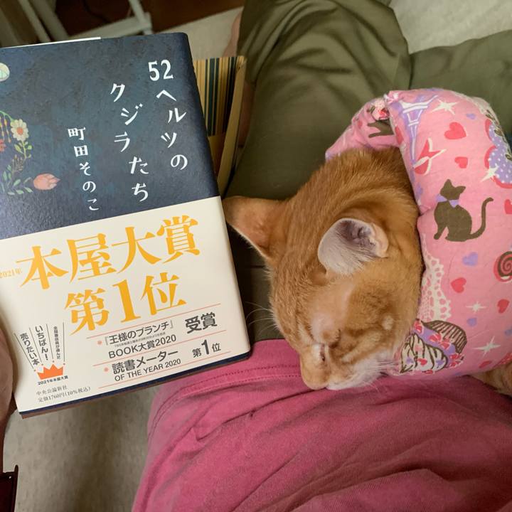 47fb9e75 9ed9 48da 9e0a 8988dec42dc3 1620120584572