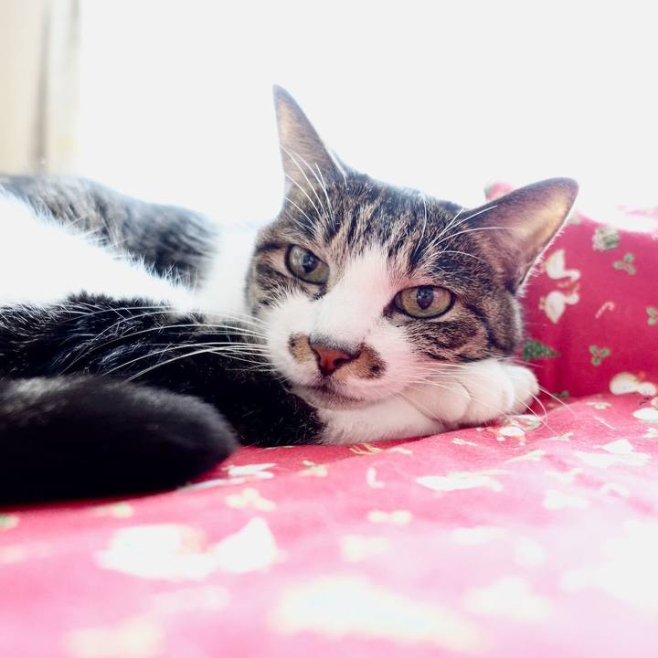 47fba559 6612 4ec7 a29d 27b11ea3c61b 1765681663869