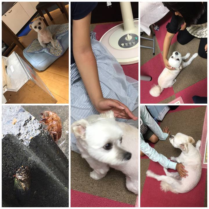 47fbe1b9 c10a 45ad b440 9312464c3a97 1562834219266