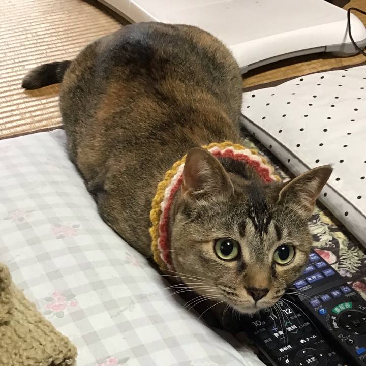 47fc0b33 1d5a 4602 93c8 4a5b0adb7a29 1622945557544