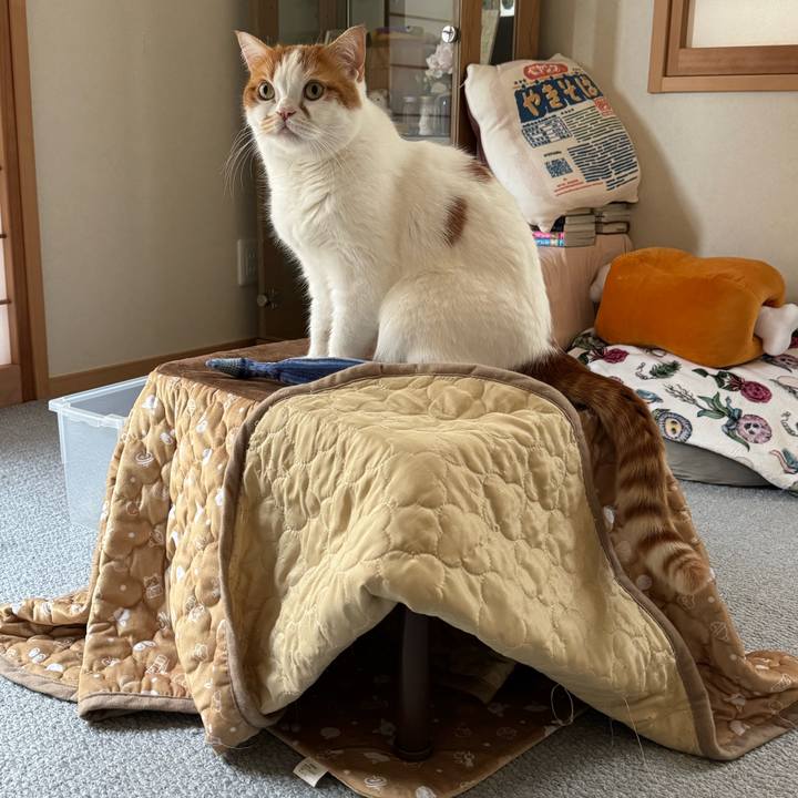 47fc414f 0390 451b a92f 09f6440f5062 1775264804180