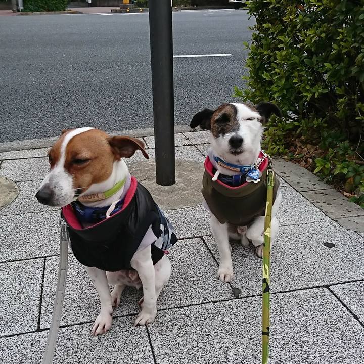 47fc466f e02e 416c be85 21a4cae00b4b 1549405672190