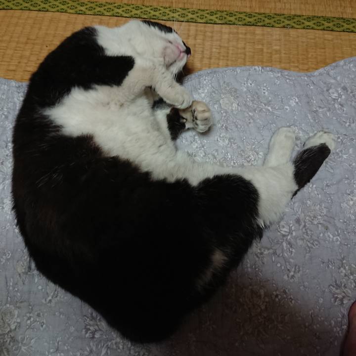 47fc94a0 3e83 4e93 b557 cfe16a7f094c 1649757541204