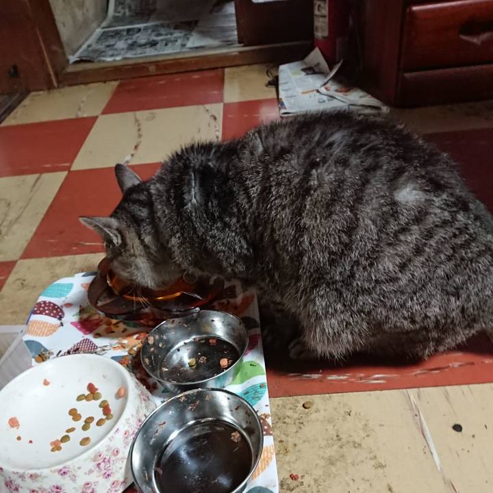 47fcb32f 1e82 4dcb 97cb 8b9b73f49a8f 1590442995990