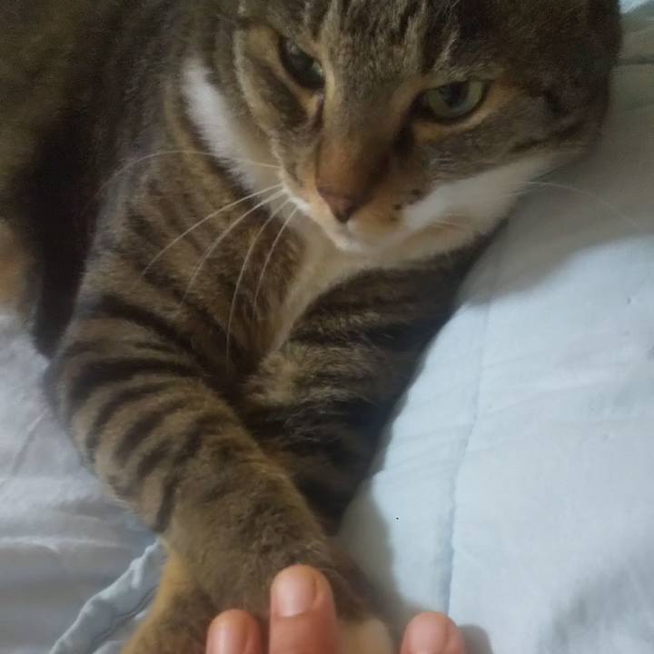 47fce02f 4fa0 4294 bf35 66b9fdfba111 1752494403042