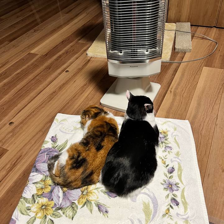 47fd2d34 ebeb 4af9 b10a 4cd1ba7e37ce 1709650365339