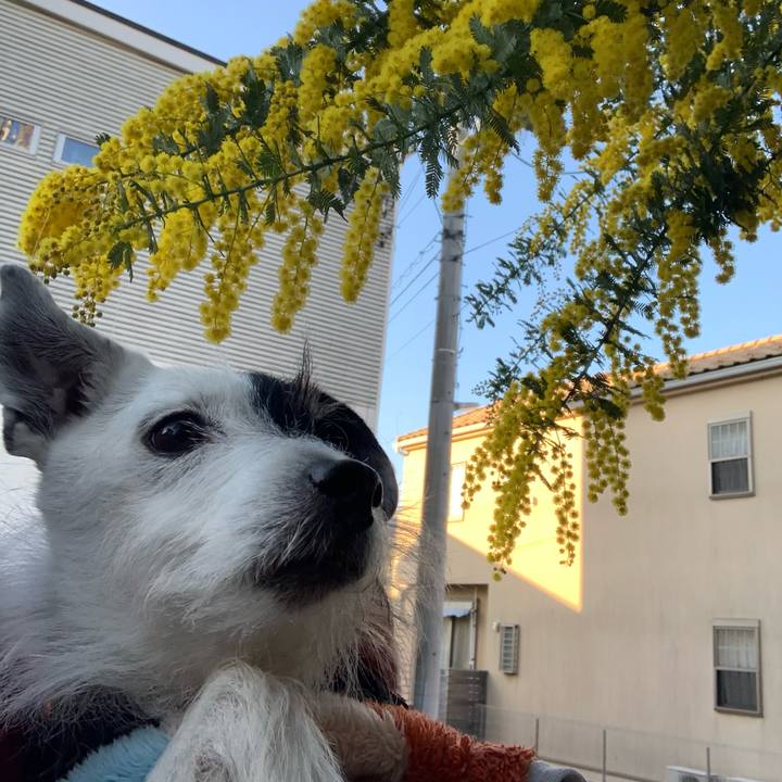 47fda597 bd11 4881 be7b 6e2f22ca7e75 1740470164793