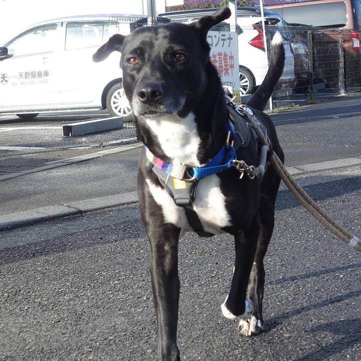 47fdc661 983c 4d60 acab 003baccd907e 1647650139593