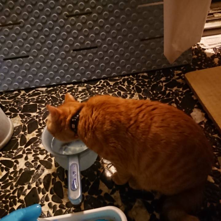 47fe4baf c1ac 4c3f 8c2f e009ca267ae9 1640863890679