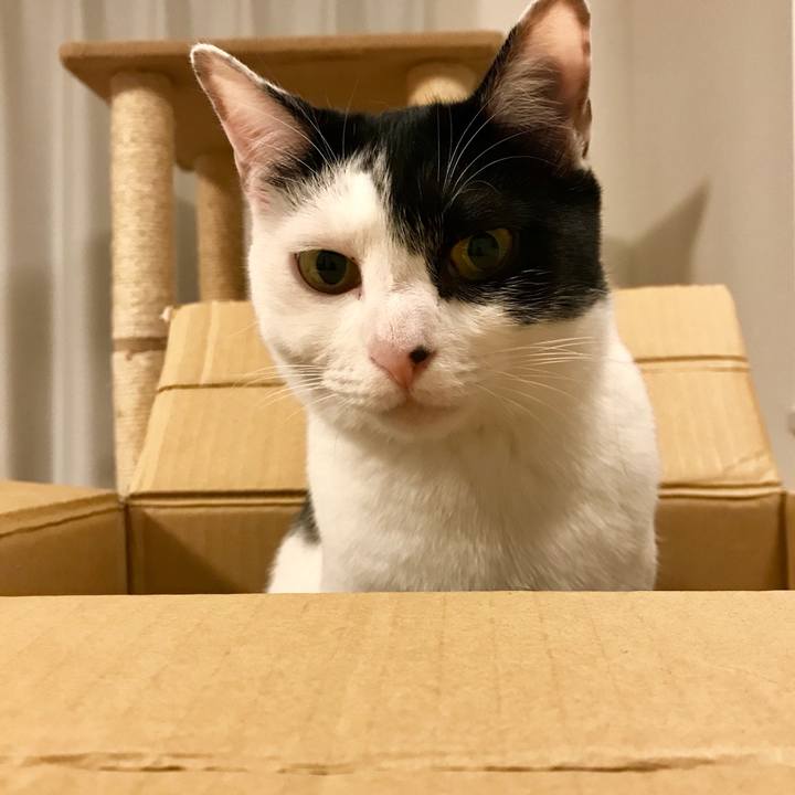 47fe6be7 d56a 4d42 9760 1318c6b6081b 1524964004500