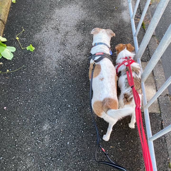 47fea3ef 2416 473e 9bd5 fe2bc11a490a 1632692133140