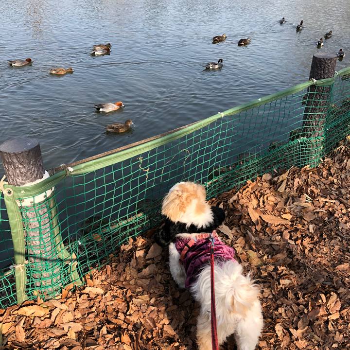 47fec496 aacc 4c75 8132 aa5445a77766 1519524099986