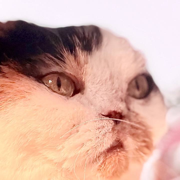 47ff1ae7 5b00 42ae 915a 3c8cf014735e 1761614541907