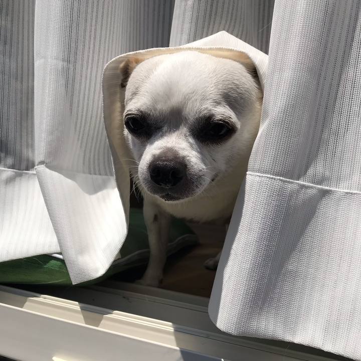 47ff1ff9 d96f 4388 803a c293825191f1 1631940110028